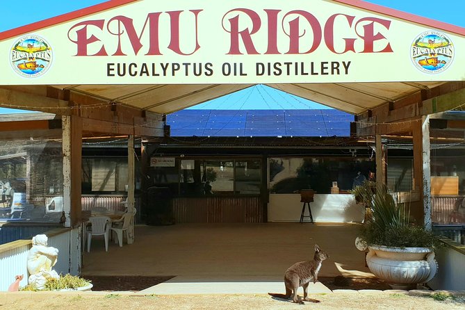 2 day Ultimate Kangaroo Island with return ferry - Honey and wine slow the pace a little
