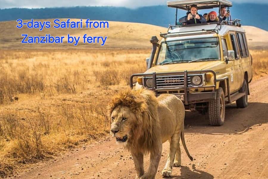 3 DAYS, 2 NIGHTS SAFARI FROM ZANZIBAR TO MIKUMI BY FERRY. - Key points before you book