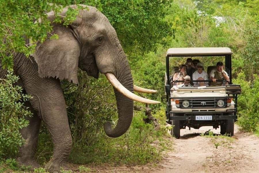 3 DAYS, 2 NIGHTS SAFARI FROM ZANZIBAR TO MIKUMI BY FERRY. - Why the ferry and train route matters