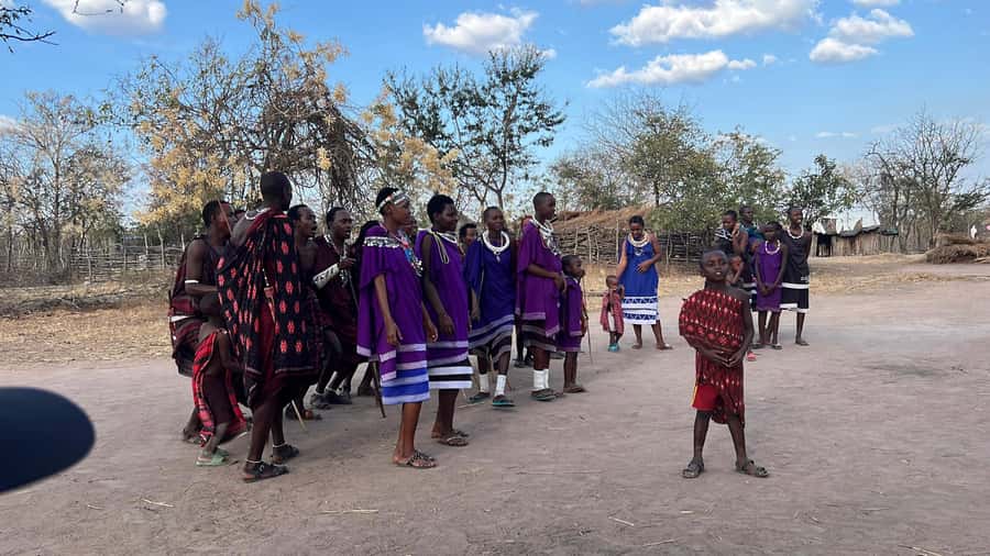 3 DAYS, 2 NIGHTS SAFARI FROM ZANZIBAR TO MIKUMI BY FERRY. - Who should book this safari?