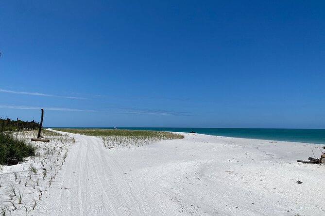 4-Hour St. Pete Pier to Egmont Key Experience by Ferry - Snorkeling, swimming, and beach time