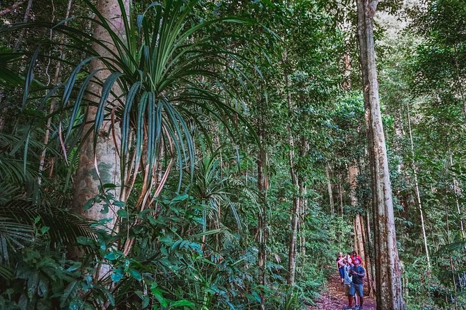Afternoon Fitzroy Island Escape – Return Ferry Included - How to Make the Most of the 1:30 pm Start