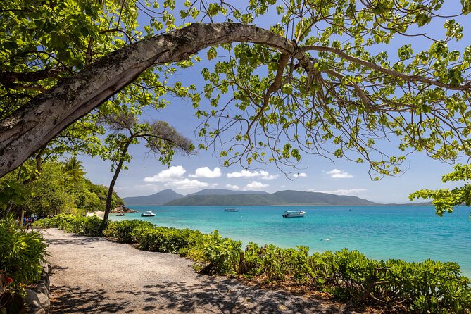 Afternoon Fitzroy Island Escape – Return Ferry Included - Booking, Cancellation, and Group Details