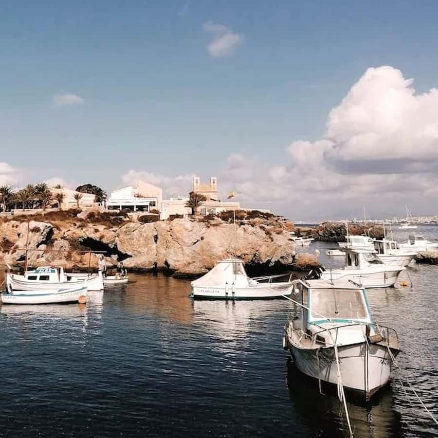 Alicante/Torrevieja: Excursion to Tabarca by ferry, Santa Pola, and Laguna Rosa - One day, three Costa Blanca settings