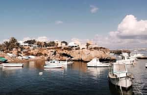 Alicante/Torrevieja: Excursion to Tabarca by ferry, Santa Pola, and Laguna Rosa - A short look at Santa Pola