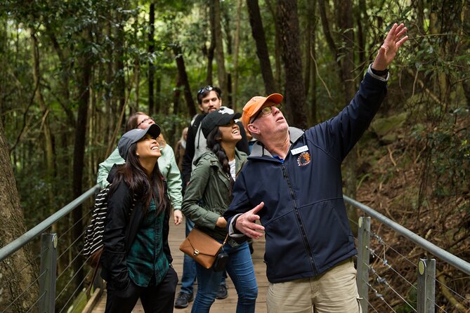 All Inclusive Blue Mountain,Scenic World,Lunch,Koalas,ferry - The Three Sisters gives you the first big view