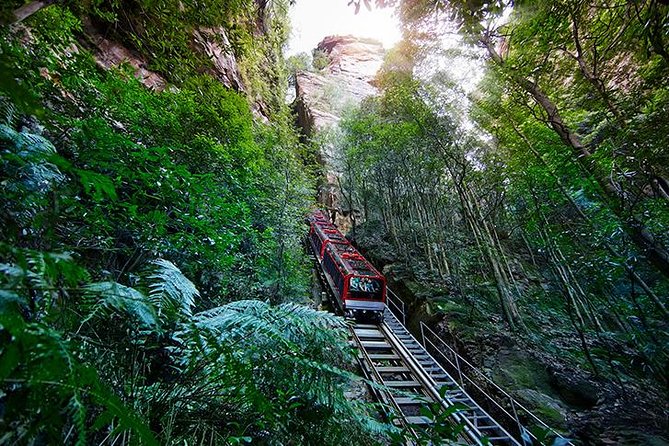 All Inclusive Blue Mountain,Scenic World,Lunch,Koalas,ferry - Lookouts and Jamison Valley add breathing room