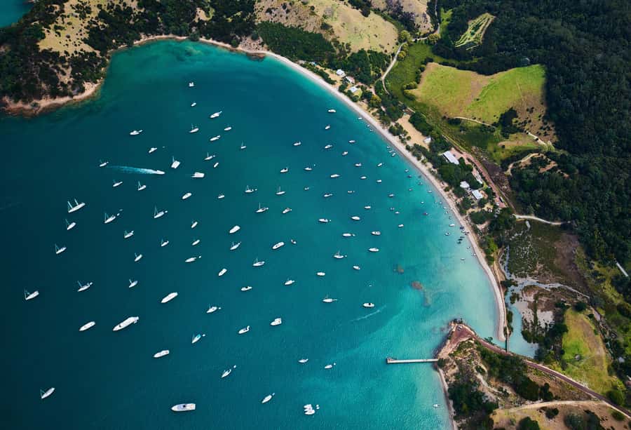 Auckland: Man O' War Vineyard Ferry (Waiheke Island) - Wine, lunch, and the Pop-up Lawn Bar