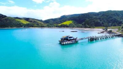 Man O’ War Vineyard Ferry (Waiheke Island)
