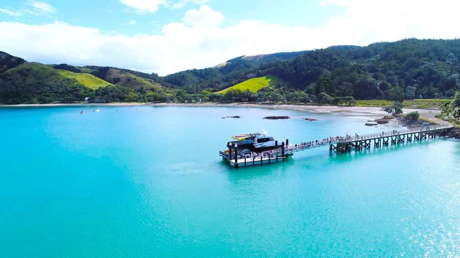 Auckland: Man O' War Vineyard Ferry (Waiheke Island) - Three and a half hours at Man O War Vineyard