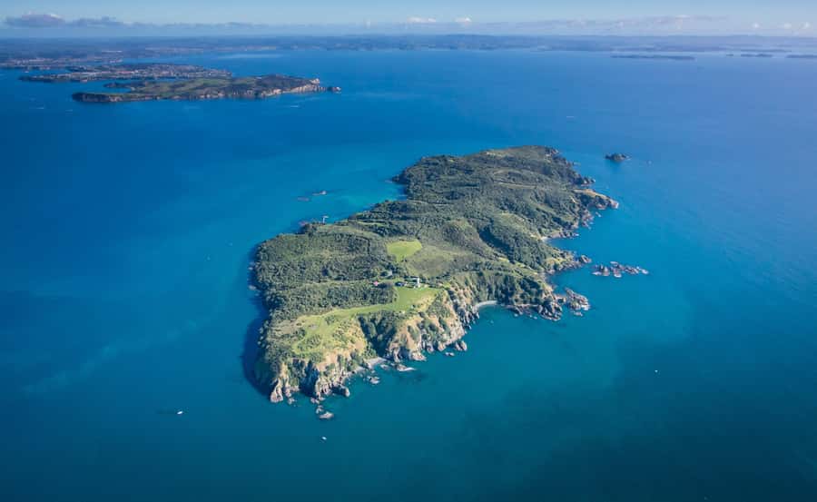 Auckland: Tiritiri Matangi Island Ferry - Key points at a glance