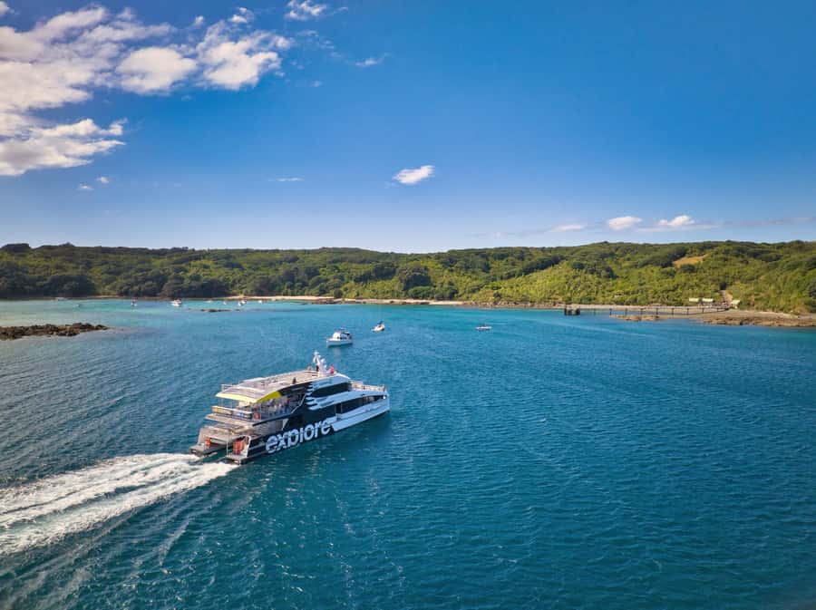 Auckland: Tiritiri Matangi Island Ferry - Why Tiritiri Matangi feels different from a normal ferry trip