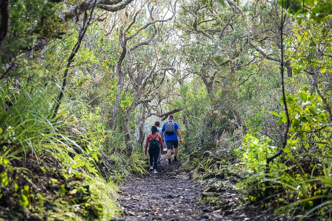 Auckland to Rangitoto Island Ferry - Food, water, weather, and clothing