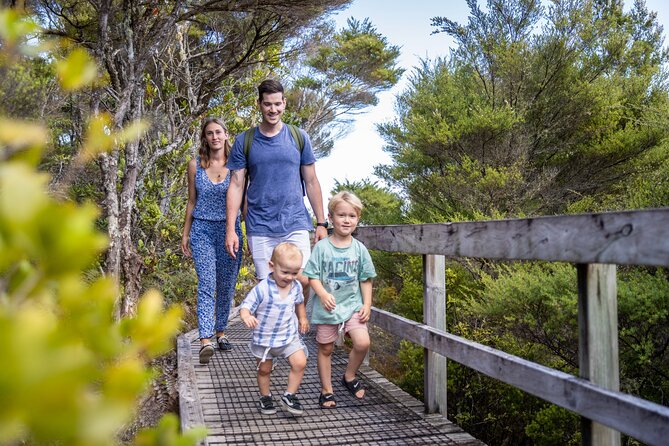 Auckland to Rangitoto Island Ferry - Is a guide or wagon ride included?