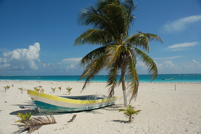 Bimini or Grand Bahama Island by Ferry - Who will enjoy this day trip