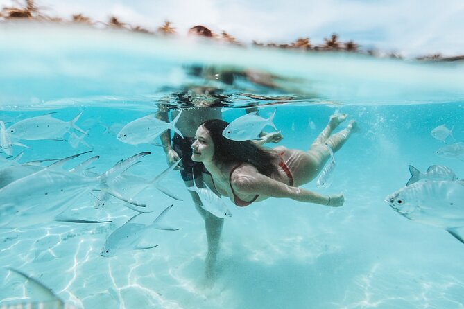 Bimini or Grand Bahama Island by Ferry - What your island time can include