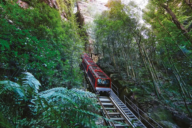 Blue Mountains Adventure w Scenic World, Zoo, Koala Photo & Ferry - What makes this day trip worth considering