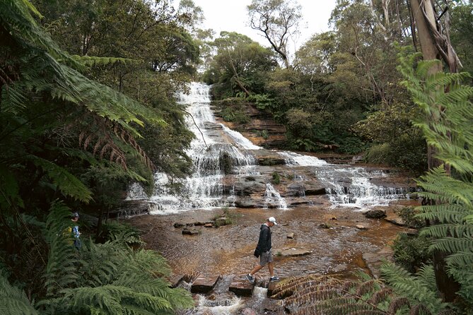 Blue Mountains Adventure w Scenic World, Zoo, Koala Photo & Ferry - A packed route from Sydney to the Blue Mountains