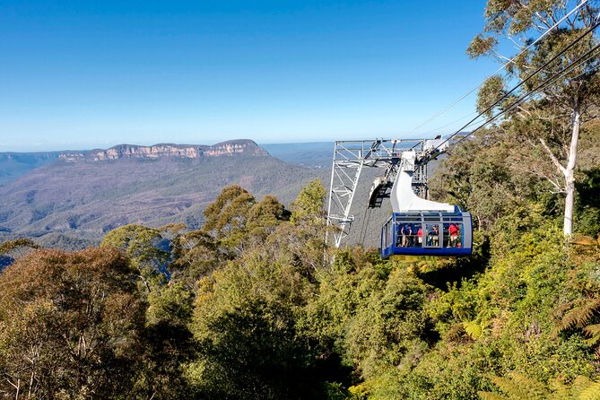 Blue Mountains Adventure w Scenic World, Zoo, Koala Photo & Ferry - Sydney Zoo brings kangaroos and a koala photo