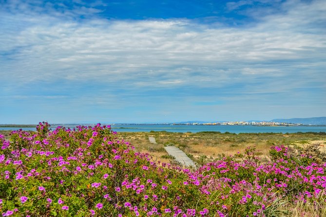 Boat trip from Faro to Ilha Deserta by Ferry - Leaving Faro from Cais das Portas do Mar