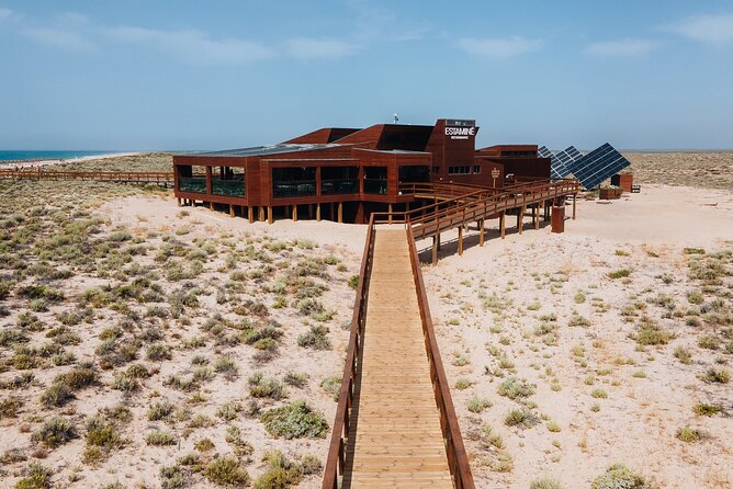 Boat trip from Faro to Ilha Deserta by Ferry - Weather, cancellation, and practical planning