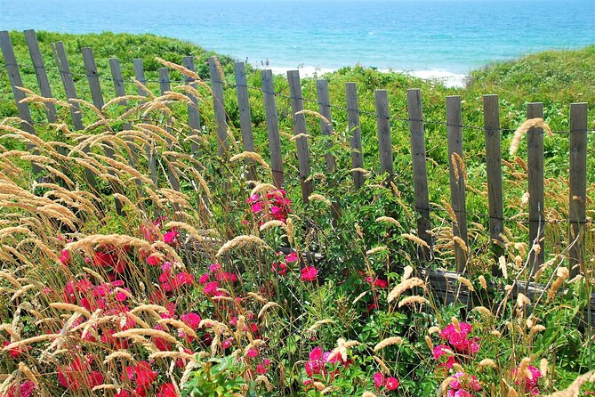 Boston to Martha's Vineyard Day Trip with Optional Island Tour - Edgartown: colonial streets and a useful walking break
