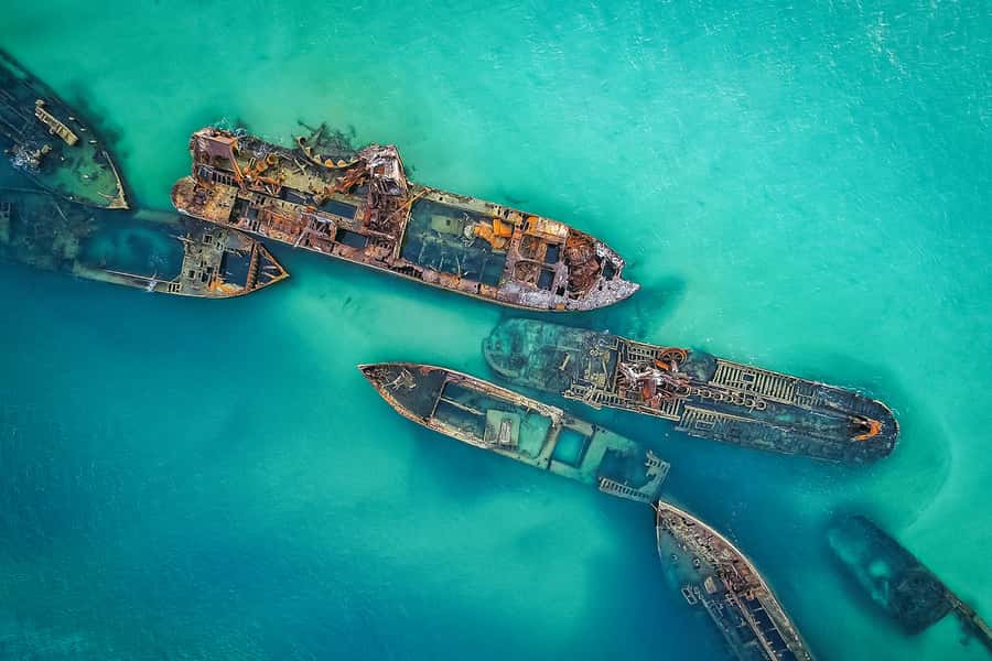 Brisbane: Moreton Island Return Ferry & Adventure Day Pass - Why Tangalooma works well as a one-day island escape