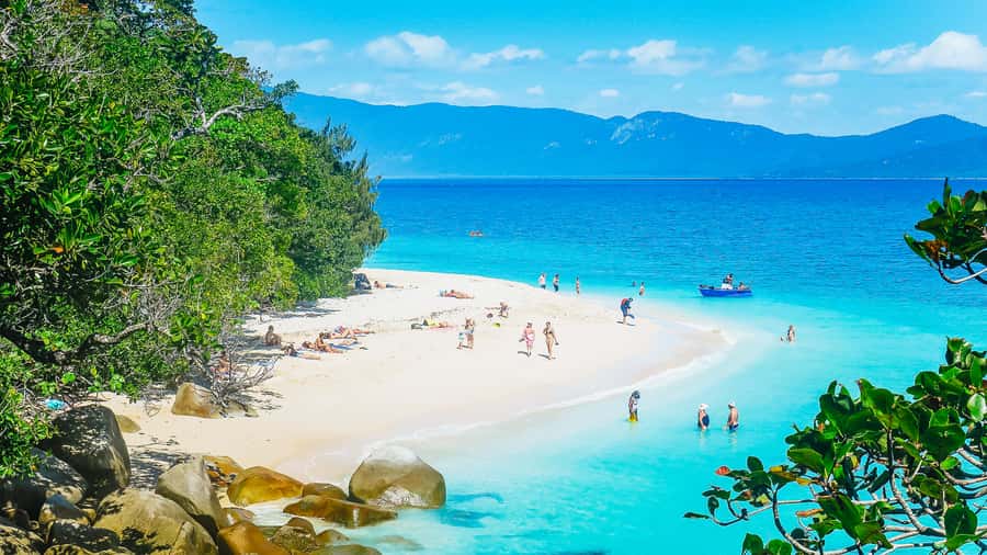 Cairns: Fitzroy Island Ferry with Optional Lunch & Activity - Key points for planning your island day
