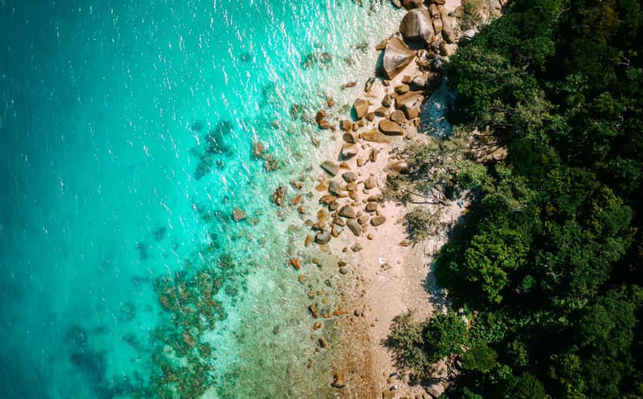 Cairns: Fitzroy Island Ferry with Optional Lunch & Activity - Fitzroy Island is more than a beach stop