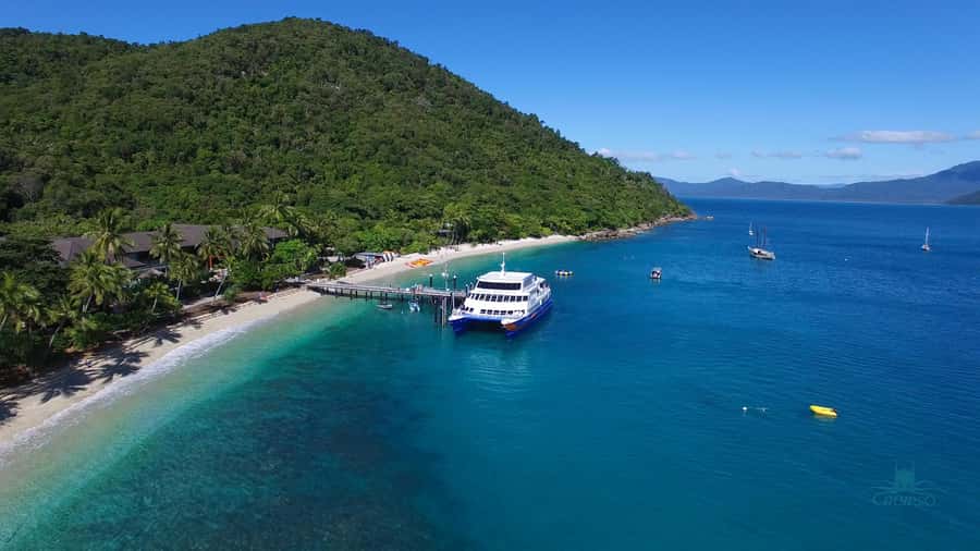 Cairns: Fitzroy Island Ferry with Optional Lunch & Activity - Nudey Beach and the rainforest tracks