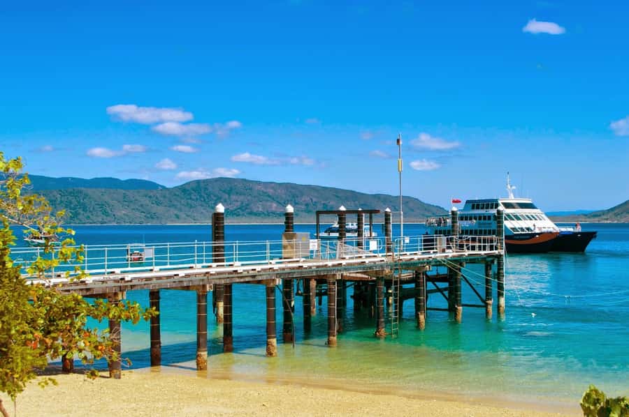 Cairns: Fitzroy Island Ferry with Optional Lunch & Activity - Snorkeling, turtles, and the glass-bottom option