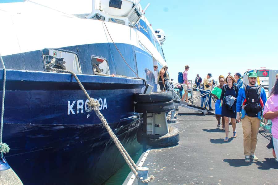 Cape Town: Robben Island ferry ticket plus Guided Tour - The 30-minute ferry crossing