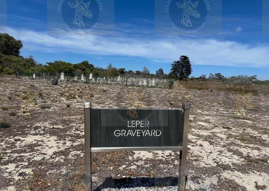 Cape Town: Robben Island Ferry with Prison Ticket and Tour - Why the former prisoner guide matters