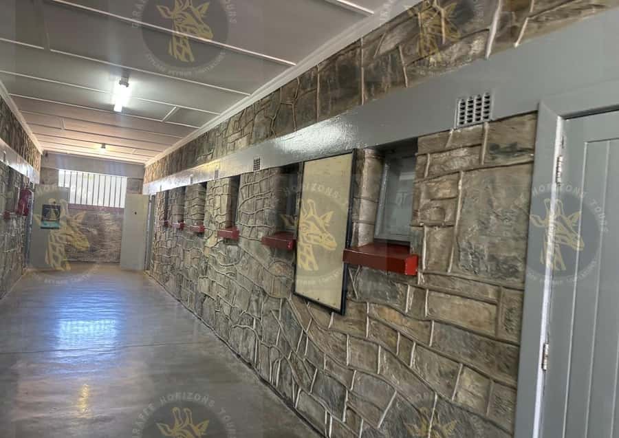 Cape Town: Robben Island Ferry with Prison Ticket and Tour - The ferry ride from Cape Town