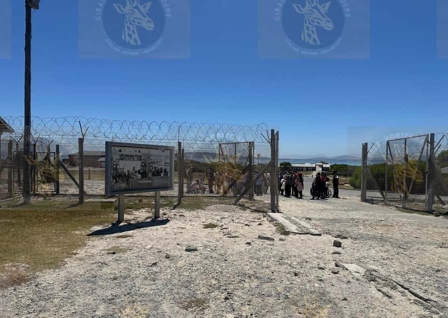 Cape Town: Robben Island Ferry with Prison Ticket and Tour - Museum displays and guided interpretation