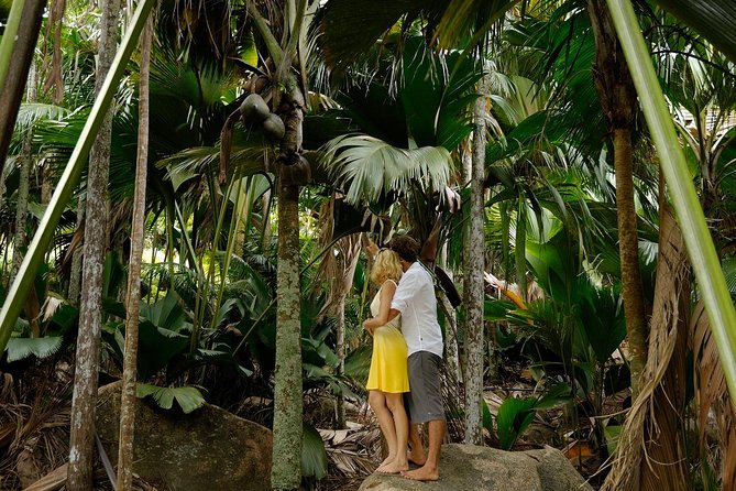 Cat Cocos: Mahe to Praslin Island Fast Ferry - Who should book the Cat Cocos ferry?