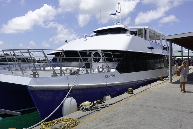 Cat Rose: Praslin Island / La Digue Island Fast Ferry - Who will get the most from Cat Rose?
