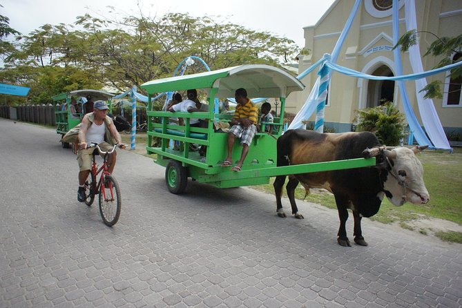 Cat Rose: Praslin Island / La Digue Island Fast Ferry - Cancellation and basic practical details