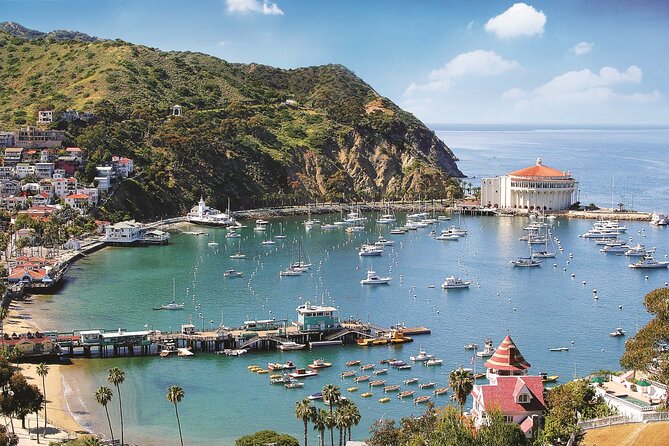 Catalina Express: Avalon to San Pedro One-Way Ferry - Arriving at the San Pedro Catalina Air and Sea Terminal