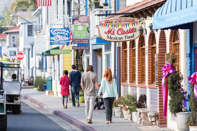 Catalina Express: Avalon to San Pedro One-Way Ferry - Weather, cancellations, and planning risk