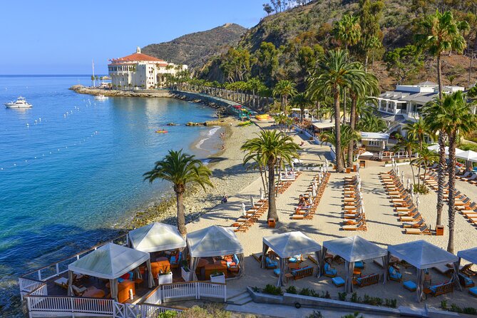 Catalina Express: Avalon to San Pedro One-Way Ferry - Who will like this ferry most