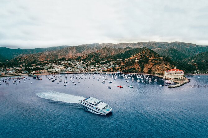 Catalina Express: Avalon to San Pedro One-Way Ferry - Pacific views without a long cruise