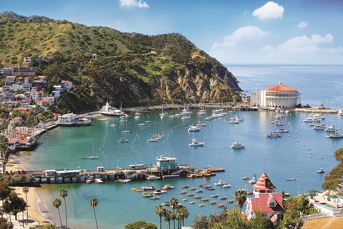 Catalina Express: San Pedro to Avalon One-Way Ferry - One-way price and the real cost of the day