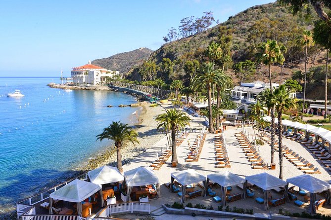 Catalina Express: San Pedro to Avalon One-Way Ferry - Who will get the most from this ferry