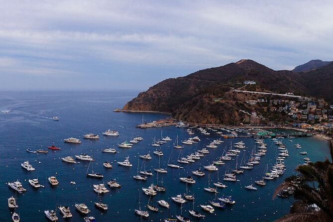 Catalina Island Ferry Avalon to Newport Beach - Key points at a glance