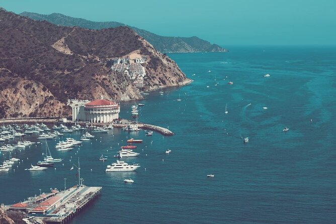 Catalina Island Ferry Avalon to Newport Beach - Check-in matters more than the ticket