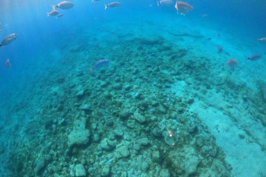 Corralejo: Snorkeling on Lobos Island & Return Ferry Ticket - The lighthouse and a longer island walk