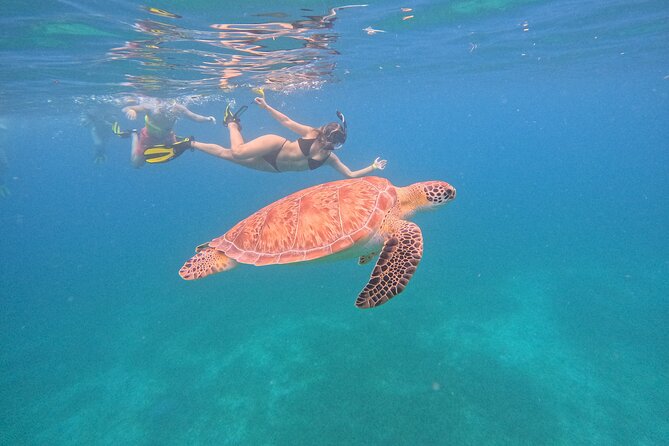 Culebra Swim with Turtles Adventure and Flamenco Beach by Ferry - Starting at Ceiba Ferry Terminal