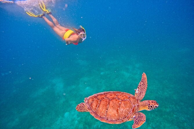 Culebra Swim with Turtles Adventure and Flamenco Beach by Ferry - Ferry comfort, transfers, and the pace of the day
