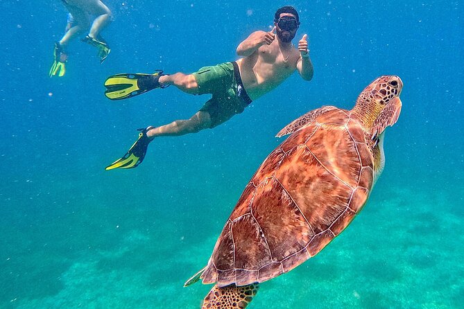 Culebra Swim with Turtles Adventure and Flamenco Beach by Ferry - Tamarindo Beach and the search for turtles